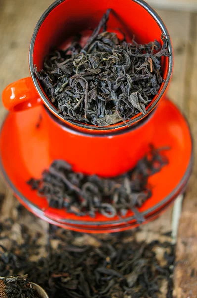 Hojas de té secas — Foto de Stock