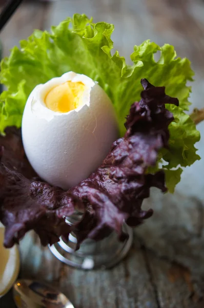 Alimento saludable — Foto de Stock