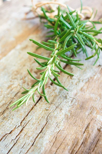 A bunch of fresh rosemary — Stock Photo, Image