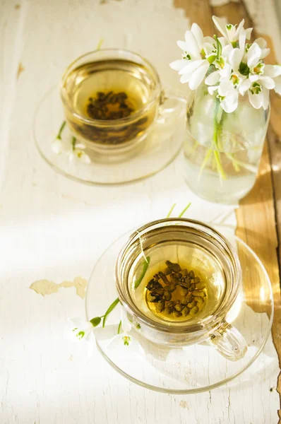 Första våren blommor snödroppar — Stockfoto