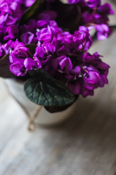 Tempo di primavera — Foto Stock