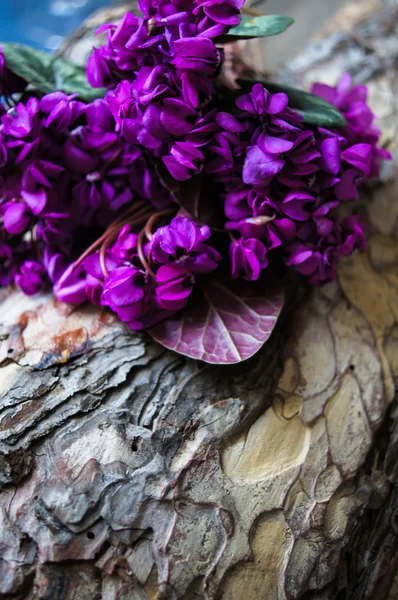 Tempo di primavera — Foto Stock