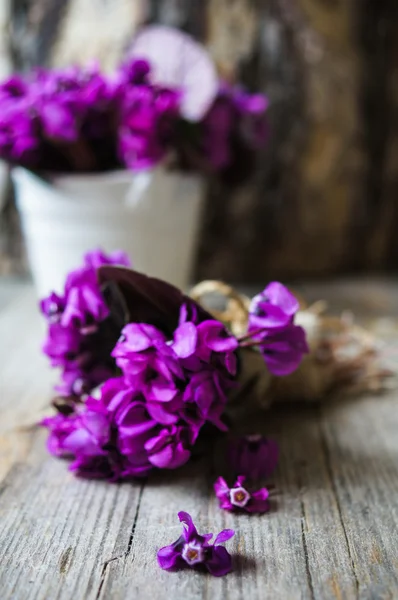 Tempo di primavera — Foto Stock