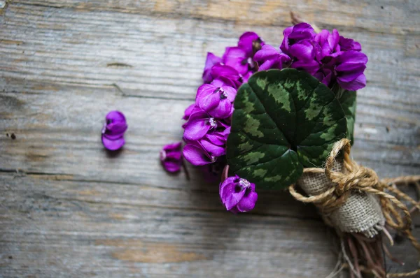 Tempo di primavera — Foto Stock