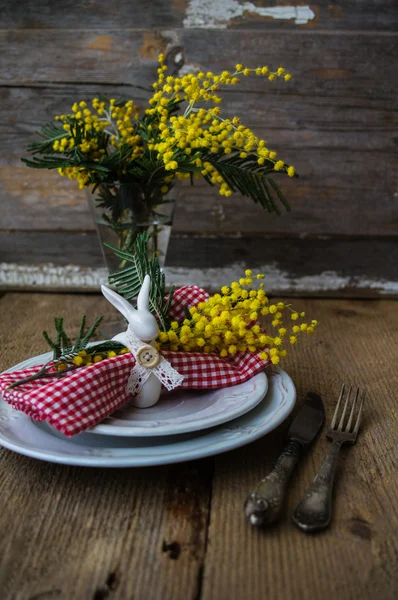 Jarní čas, žluté mimózy květiny — Stock fotografie