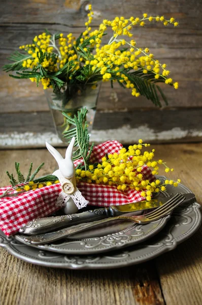 Vår tid, gul mimosa blommor — Stockfoto
