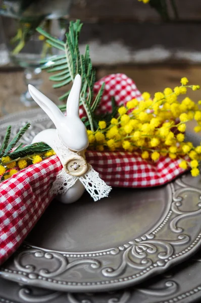 Vår tid, gul mimosa blommor — Stockfoto