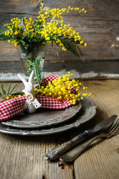 Spring time, yellow mimosa flowers — Stock Photo, Image