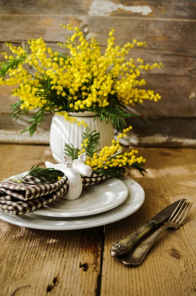 Wiosną mimozy czas, żółte kwiaty — Zdjęcie stockowe