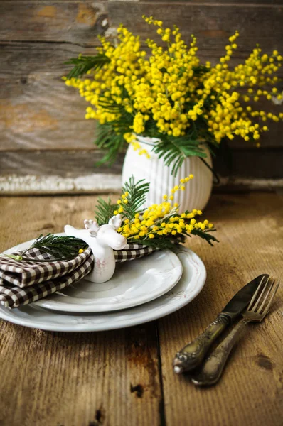 Tempo de primavera, flores mimosa amarelas — Fotografia de Stock