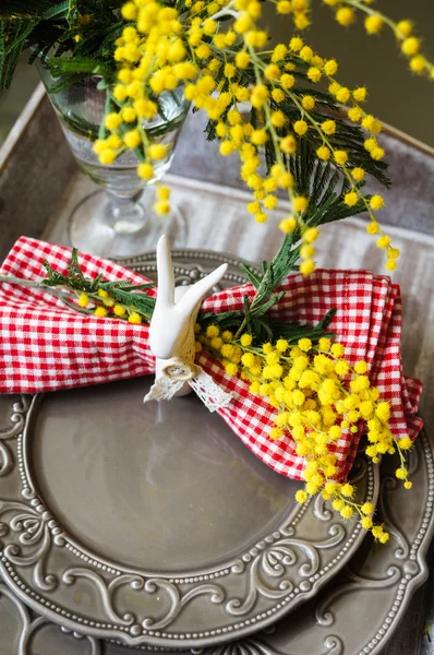 Vår tid, gul mimosa blommor — Stockfoto