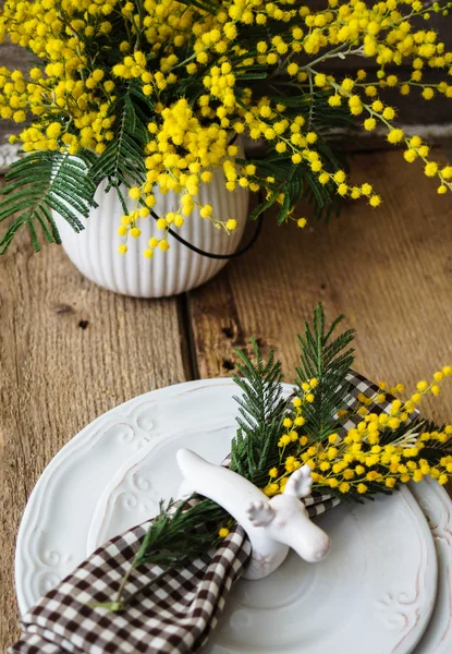 Tempo de primavera, flores mimosa amarelas — Fotografia de Stock