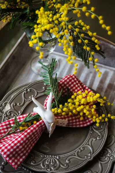 Jarní čas, žluté mimózy květiny — Stock fotografie