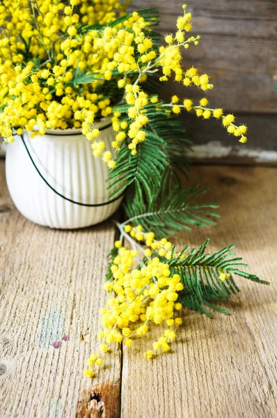 Zaman, sarı Mimoza çiçekler bahar — Stok fotoğraf
