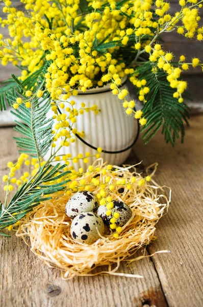 春の時間、黄色のミモザの花 — ストック写真