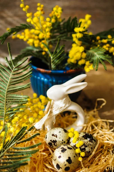 春の時間、黄色のミモザの花 — ストック写真