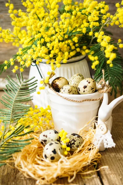 Tempo de primavera, flores mimosa amarelas — Fotografia de Stock