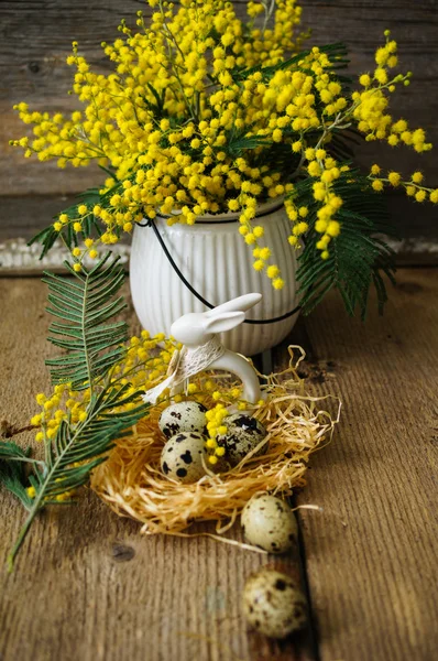 Vår tid, gul mimosa blommor — Stockfoto