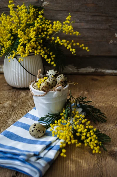 Primavera, fiori di mimosa gialli — Foto Stock