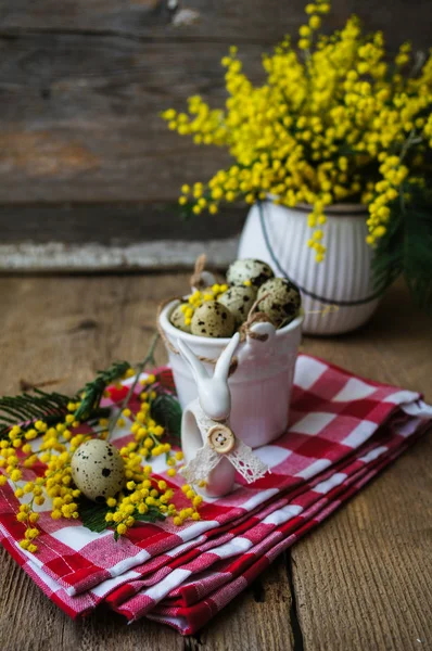 Jarní čas, žluté mimózy květiny — Stock fotografie