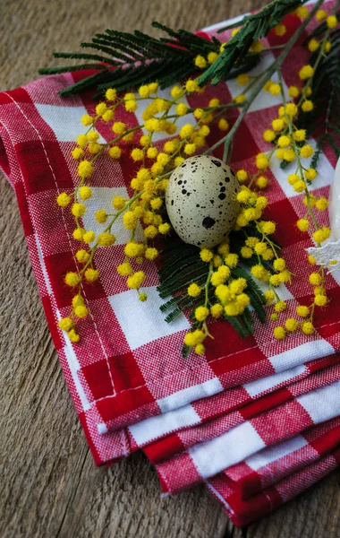 Весняний час, жовті квіти мімози — стокове фото