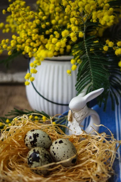 Zaman, sarı Mimoza çiçekler bahar — Stok fotoğraf