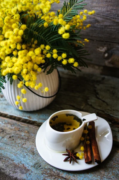 Hora da Primavera — Fotografia de Stock