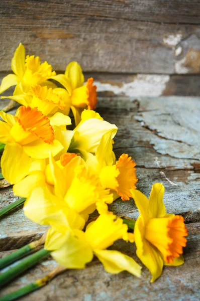 Easter time — Stock Photo, Image