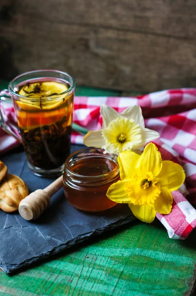 Voorjaarstijd — Stockfoto