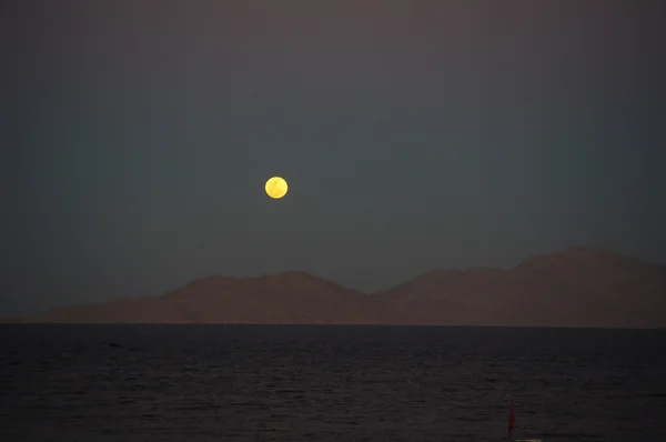 Deniz moon — Stok fotoğraf