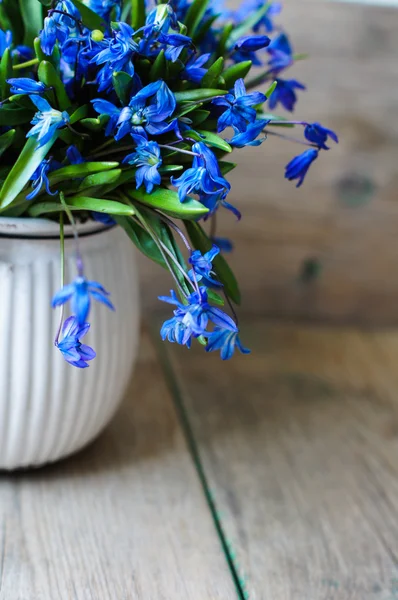 Hora da Primavera — Fotografia de Stock