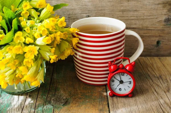 Breakfast time — Stock Photo, Image