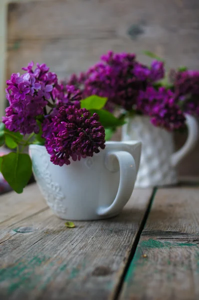 Lila bloemen in een rustieke interieur — Stockfoto