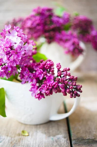 Lila bloemen in een rustieke interieur — Stockfoto