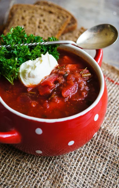 Borsch ucraino — Foto Stock