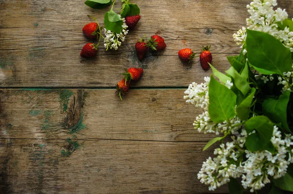 딸기과 흰색 라일락 꽃 — 스톡 사진