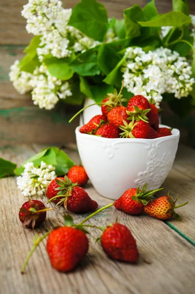 Strawberries and white lilac flowers — Stock Photo, Image