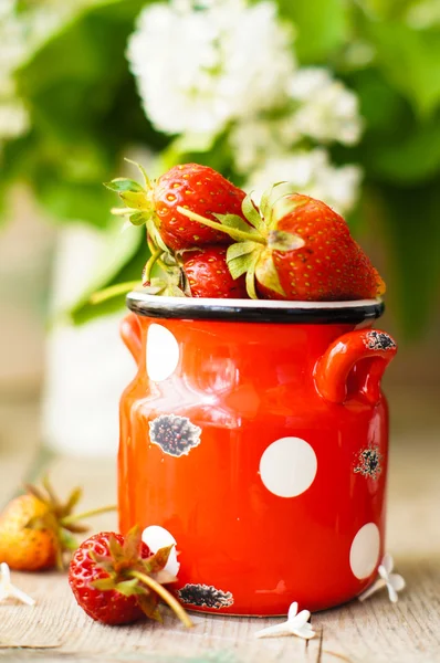 Erdbeeren und weiße Fliederblüten — Stockfoto