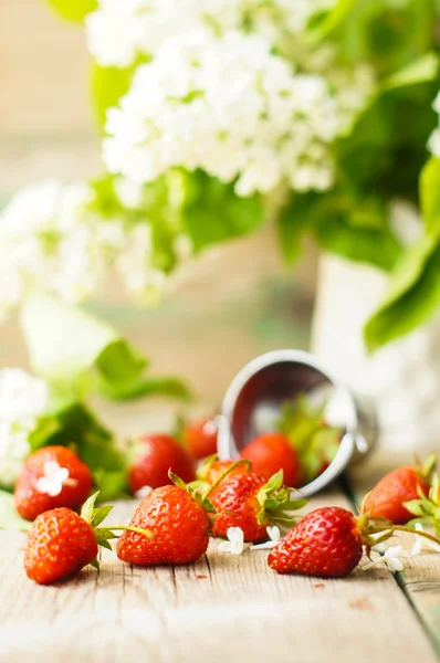 Erdbeeren und weiße Fliederblüten — Stockfoto