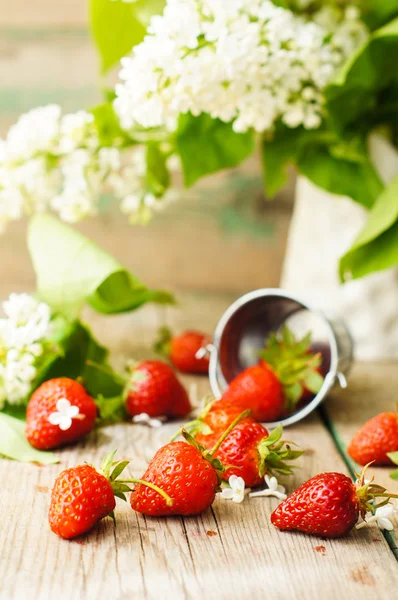 Fresas y flores lila blanca —  Fotos de Stock