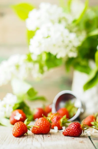 Fresas y flores lila blanca —  Fotos de Stock