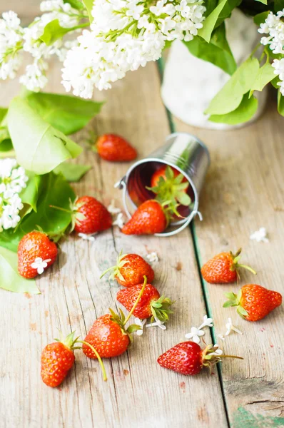 Erdbeeren und weiße Fliederblüten — Stockfoto