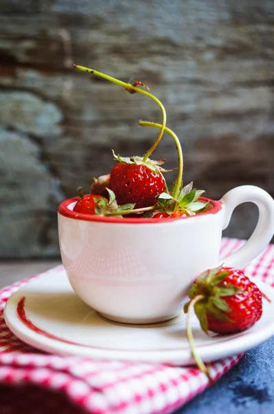 Frische Erdbeeren — Stockfoto