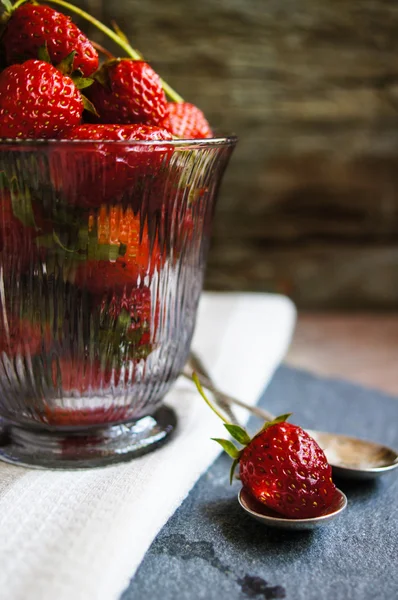 Verse aardbeien — Stockfoto