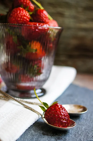 Fresas frescas — Foto de Stock