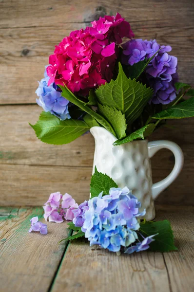 Hortensia bloemen — Stockfoto