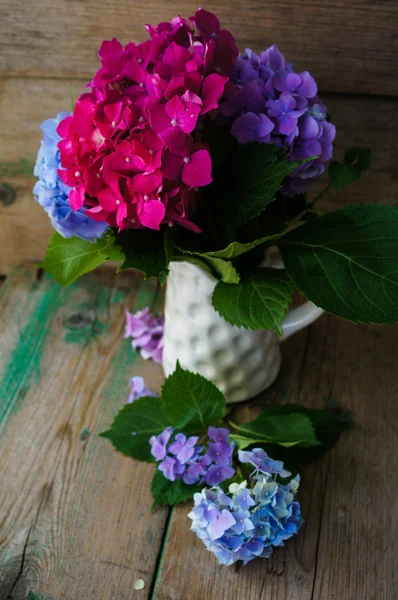 Hortensia bloemen — Stockfoto