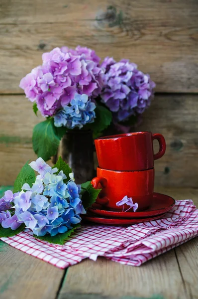 绣球花和咖啡 — 图库照片