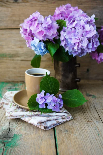 Hortensienblüten und Kaffee — Stockfoto