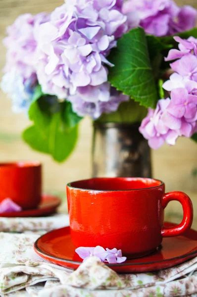 Ortensia fiori e caffè — Foto Stock